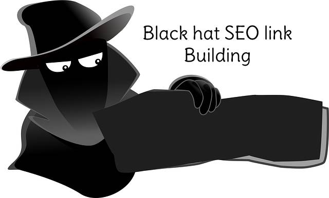 Black hat SEO link building